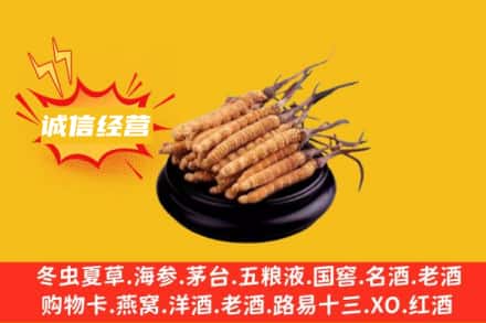 临汾市尧都回收冬虫夏草